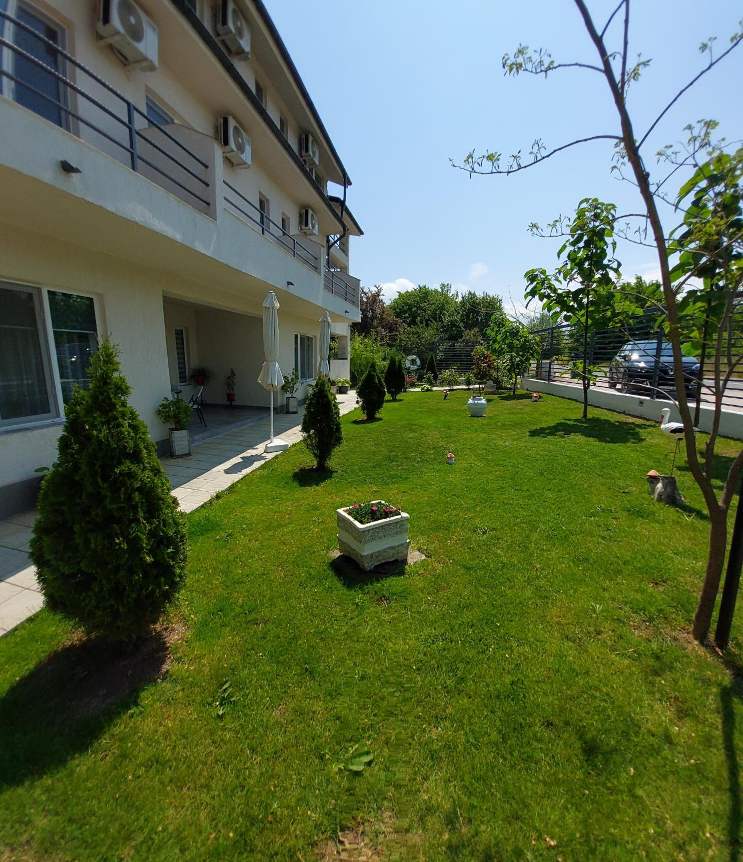Photo 11