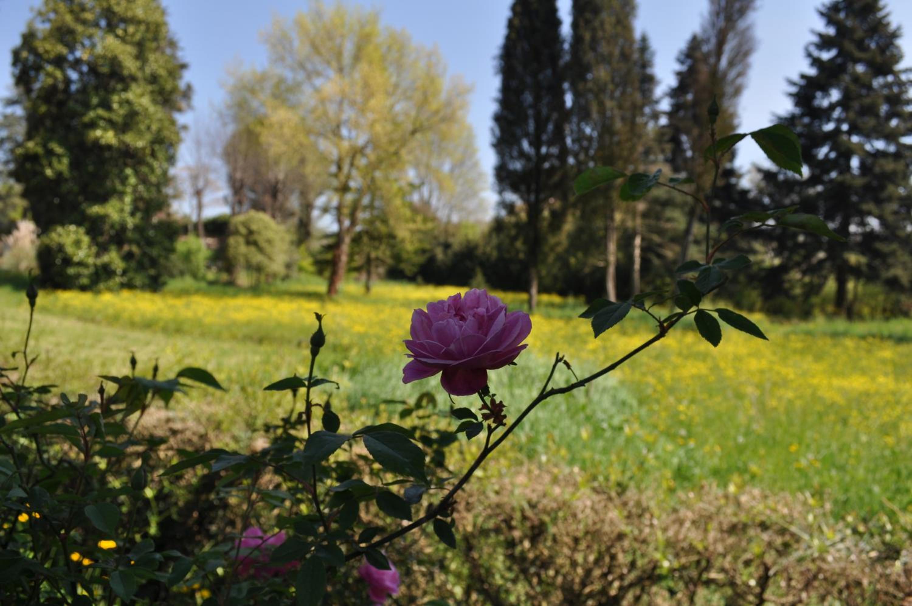 Armonie di Villa Incontri B&B