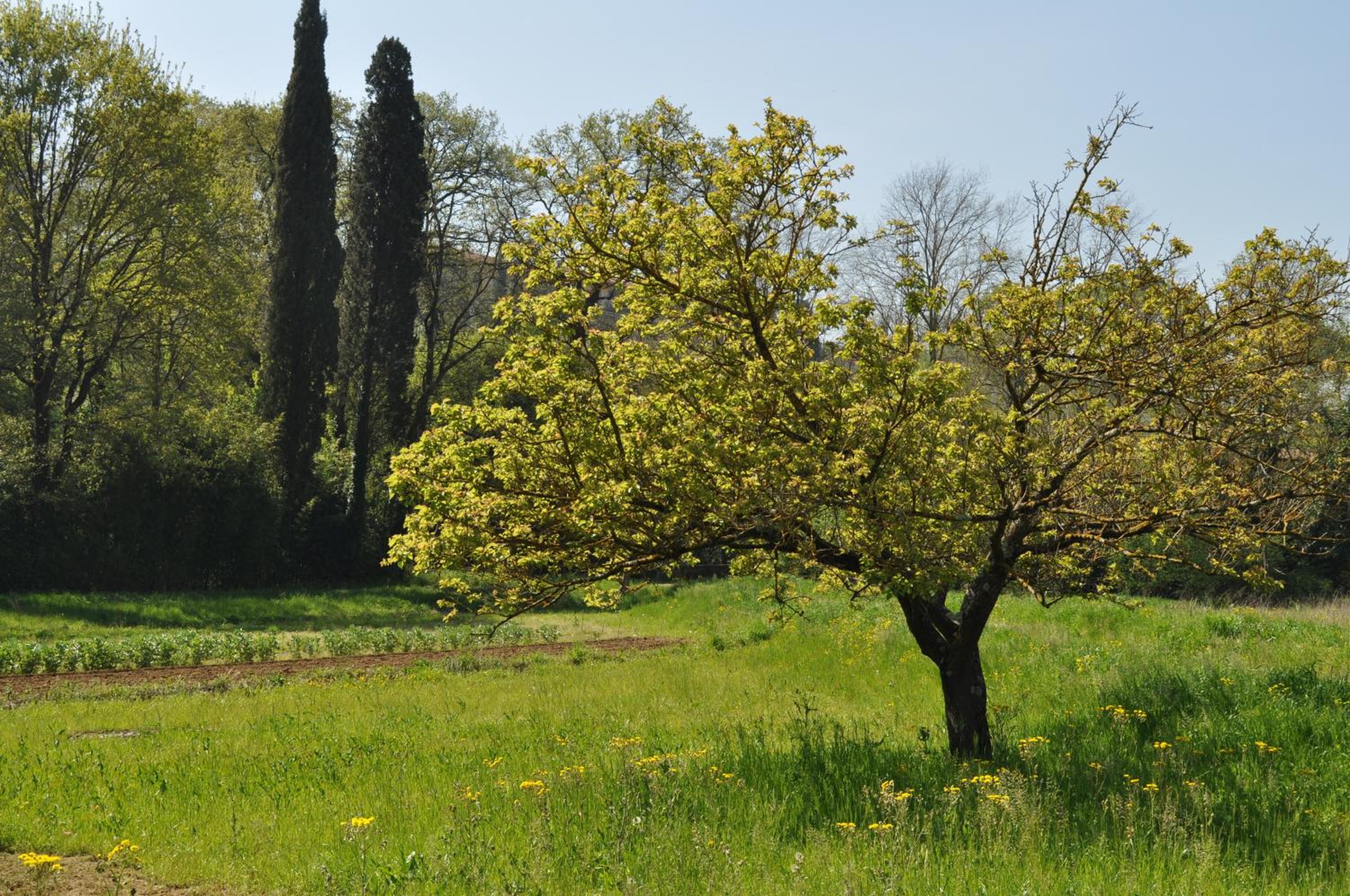 Armonie di Villa Incontri B&B