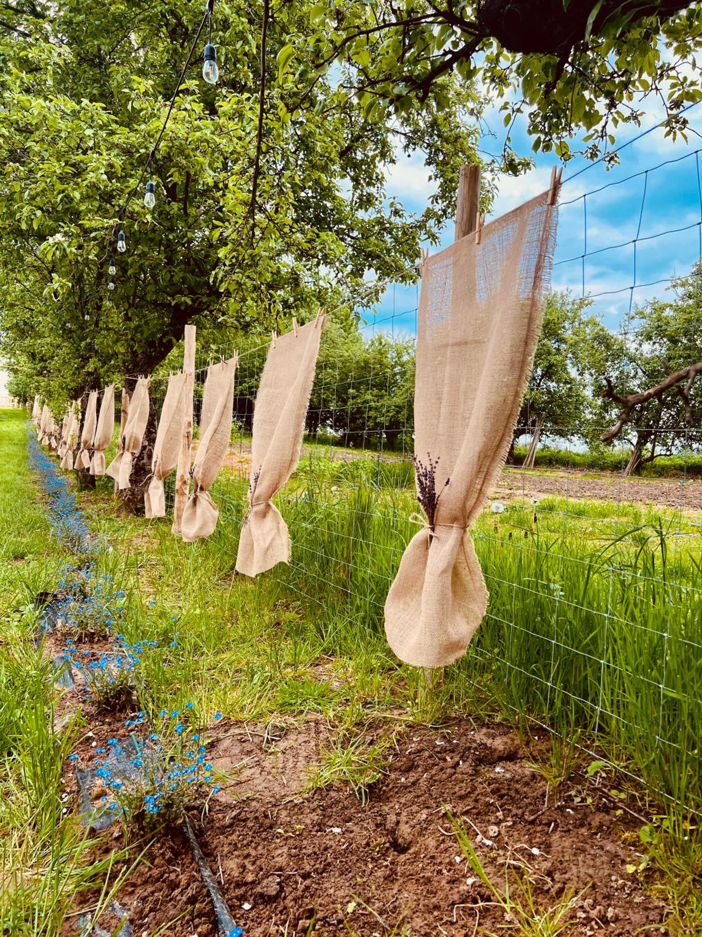 Glamping Stacja Zieleniec w Nałęczowie