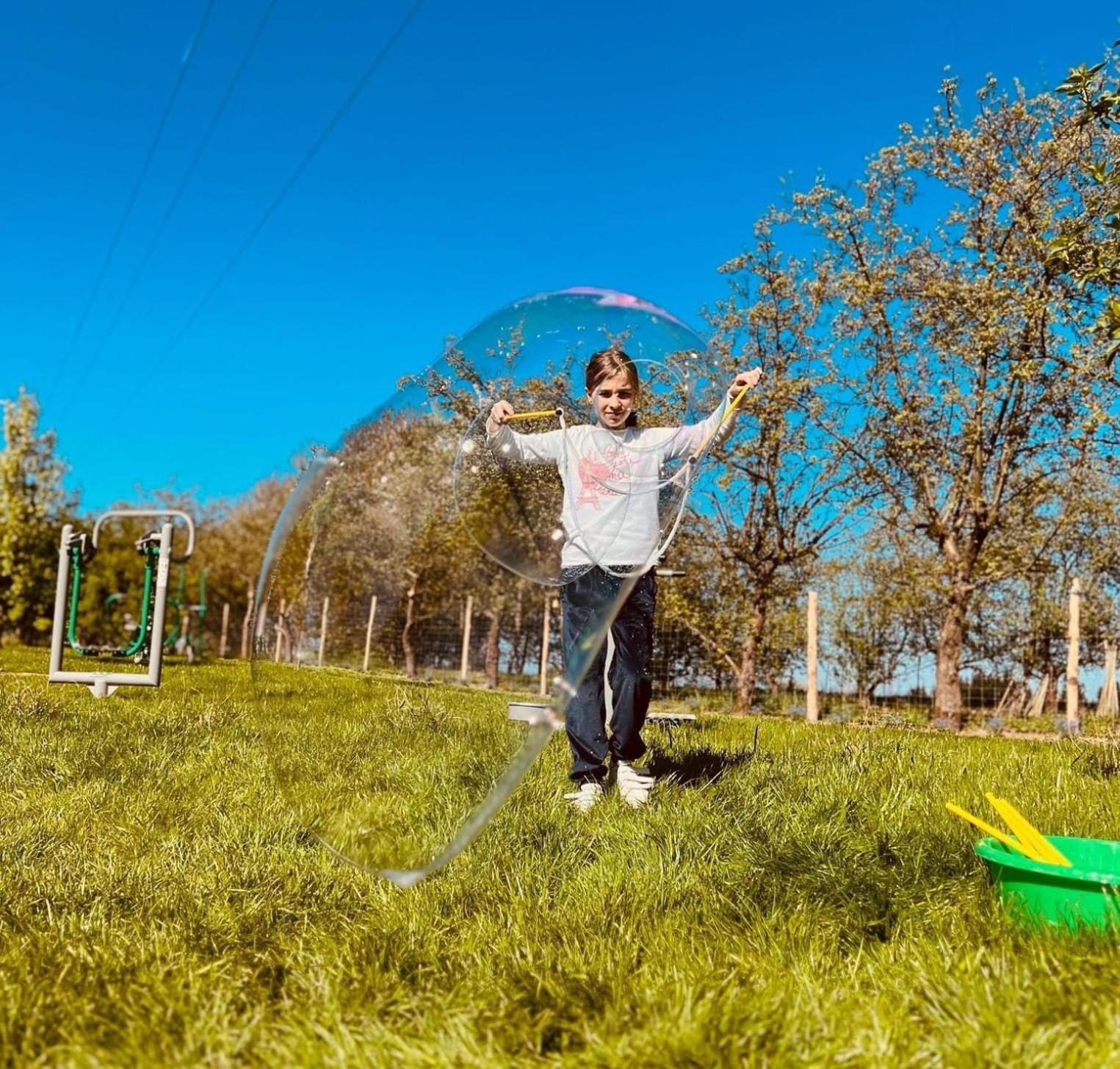 Glamping Stacja Zieleniec w Nałęczowie