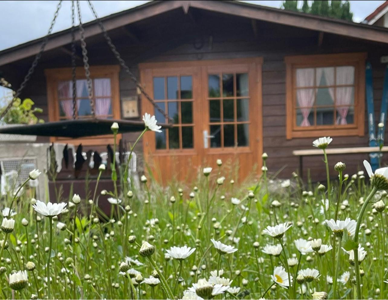 Ferienhaus Jutta am Bodensee view 2