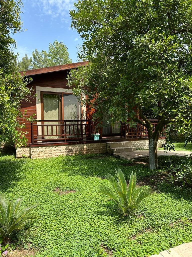 Cirali Villas 2 view 5