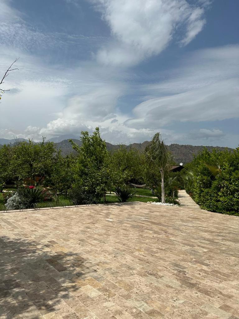 Photo 20