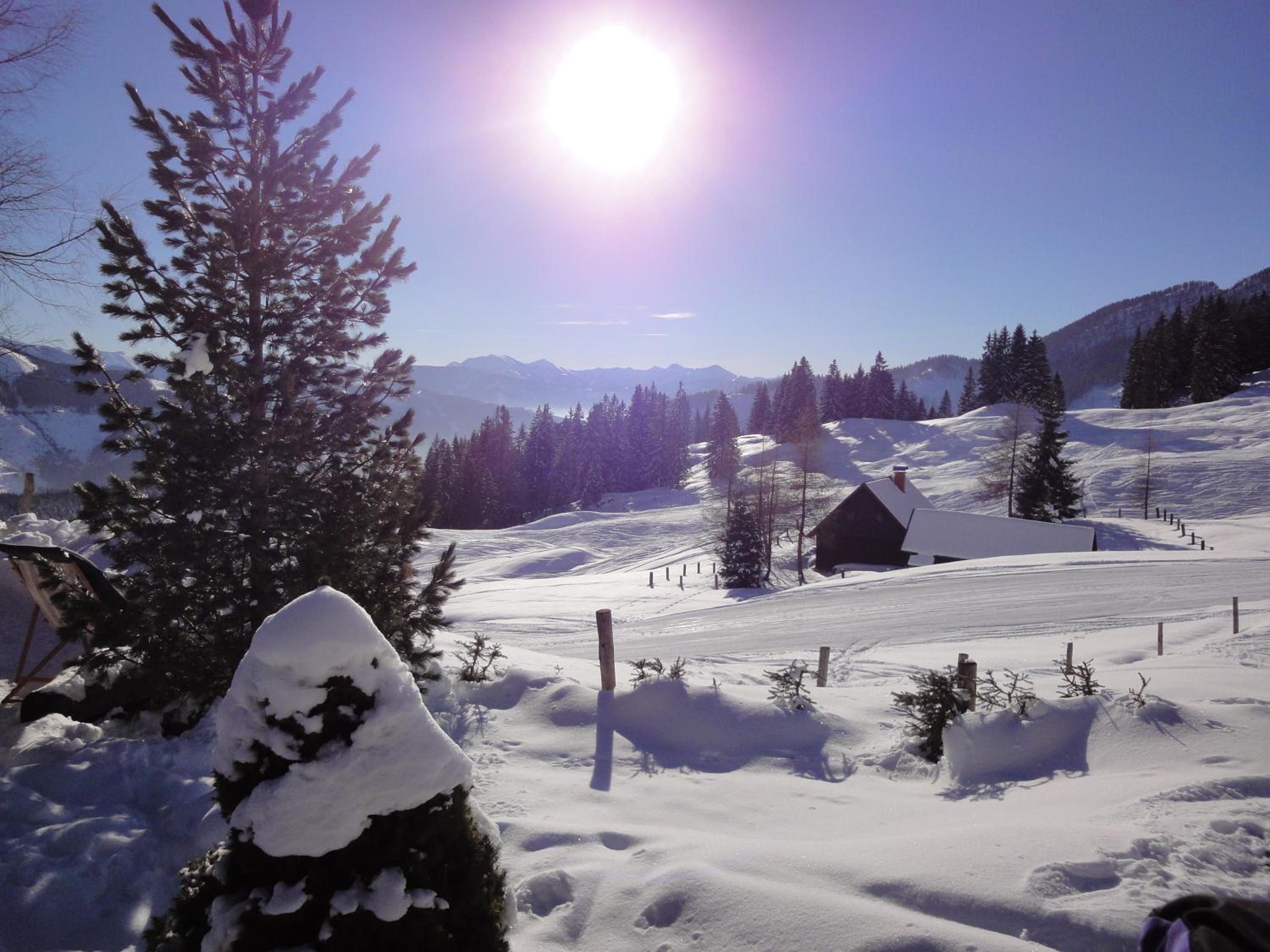 Jörgenbauerhütte