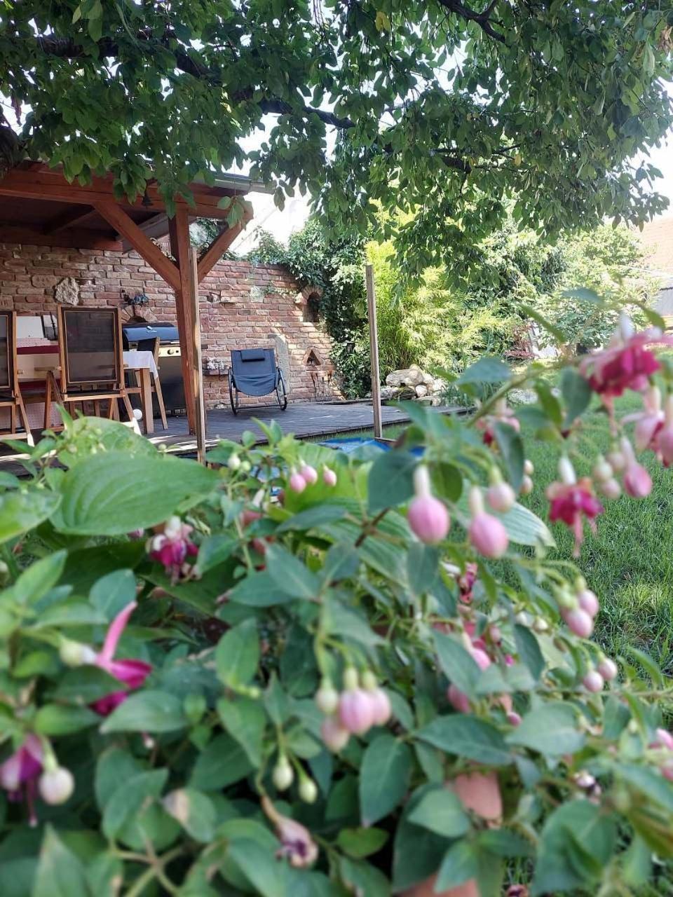 Apartmá U rybníčku