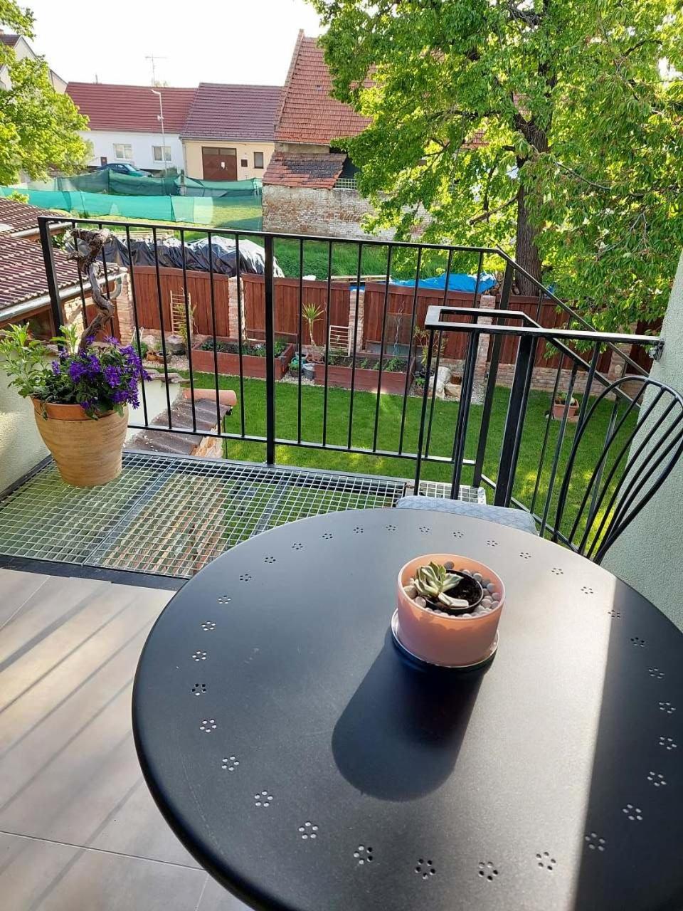 Apartmá U rybníčku