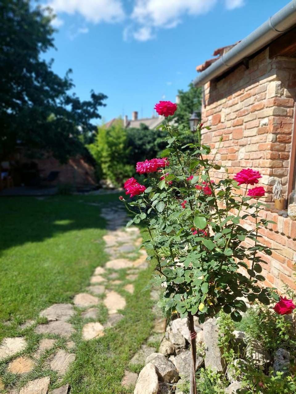 Apartmá U rybníčku