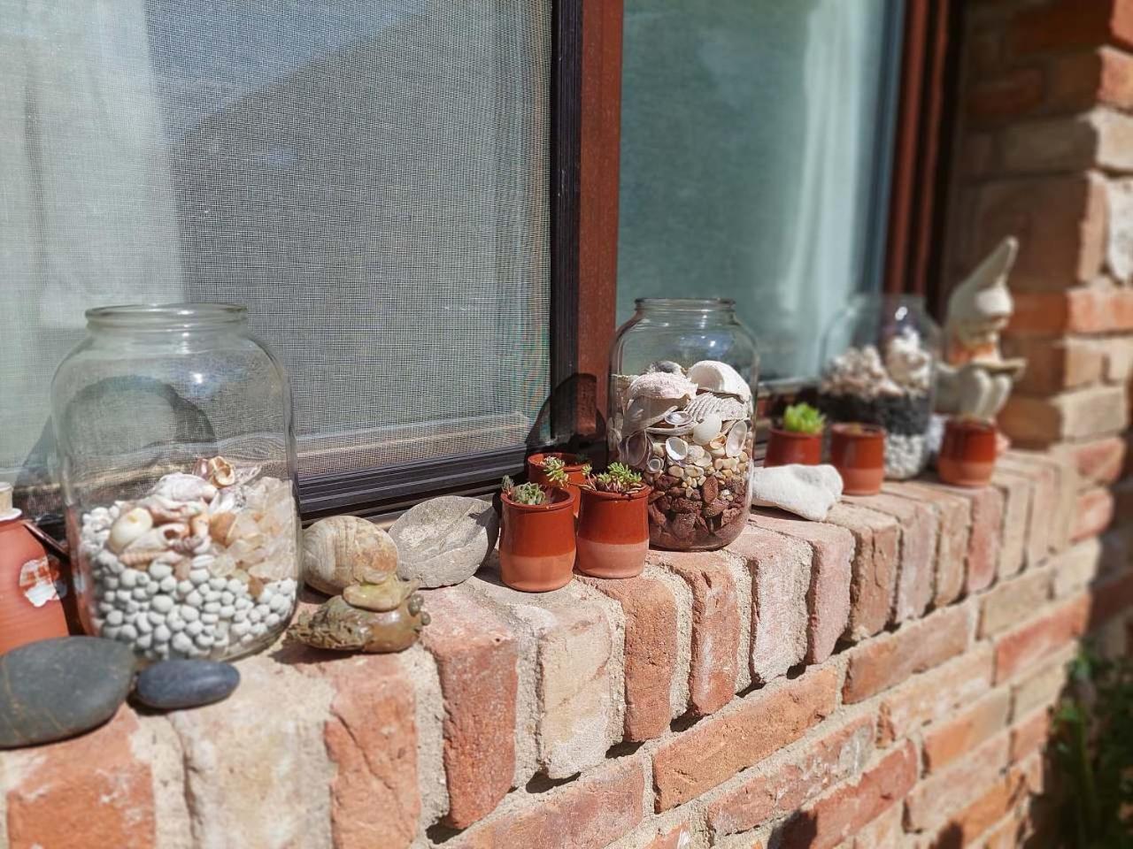 Apartmá U rybníčku