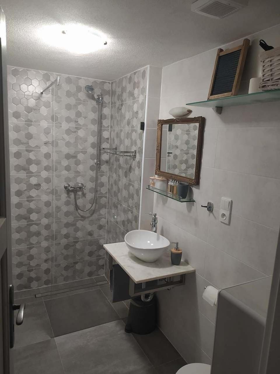 Apartmá U rybníčku