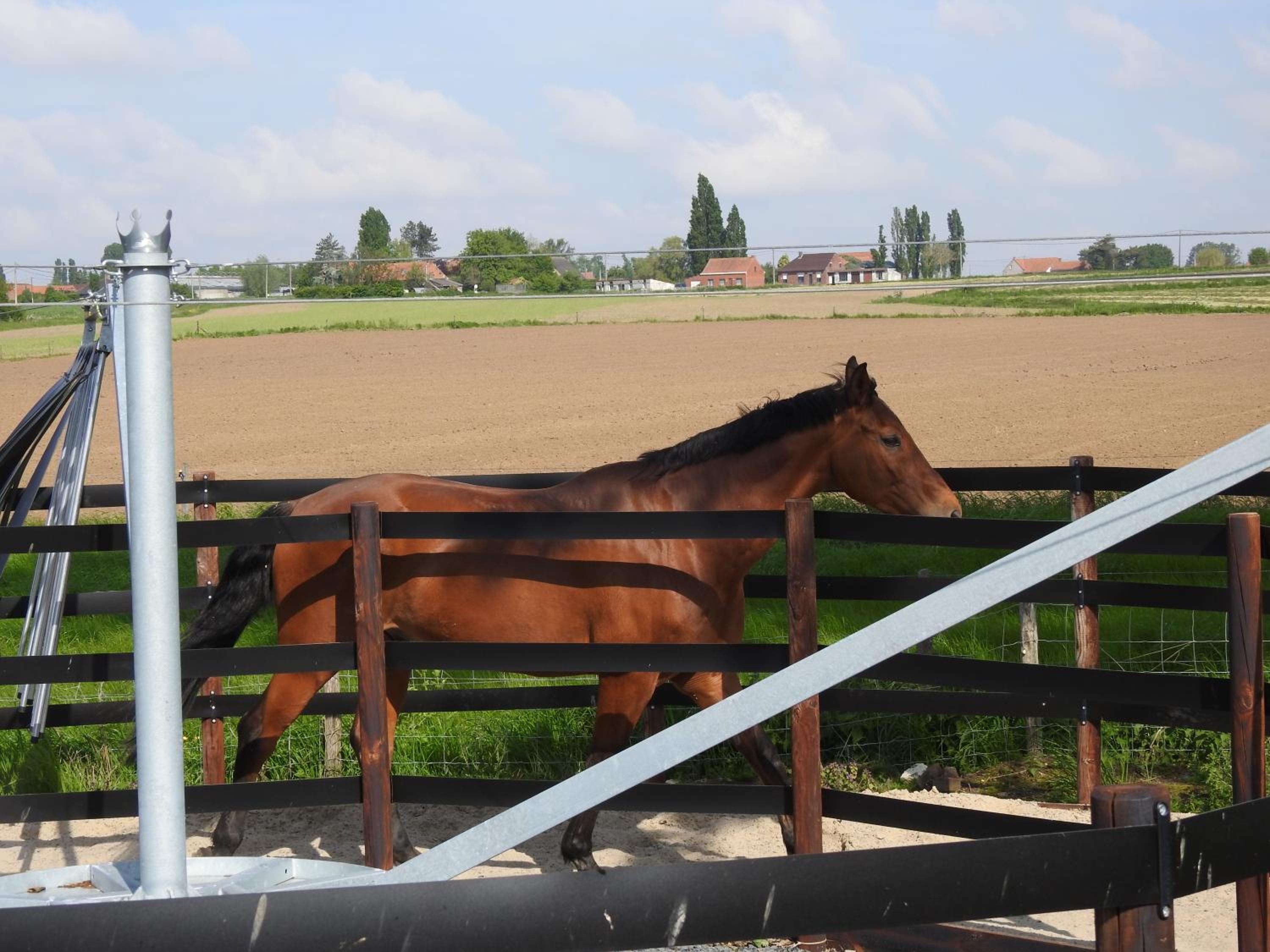 B&B De Linde
