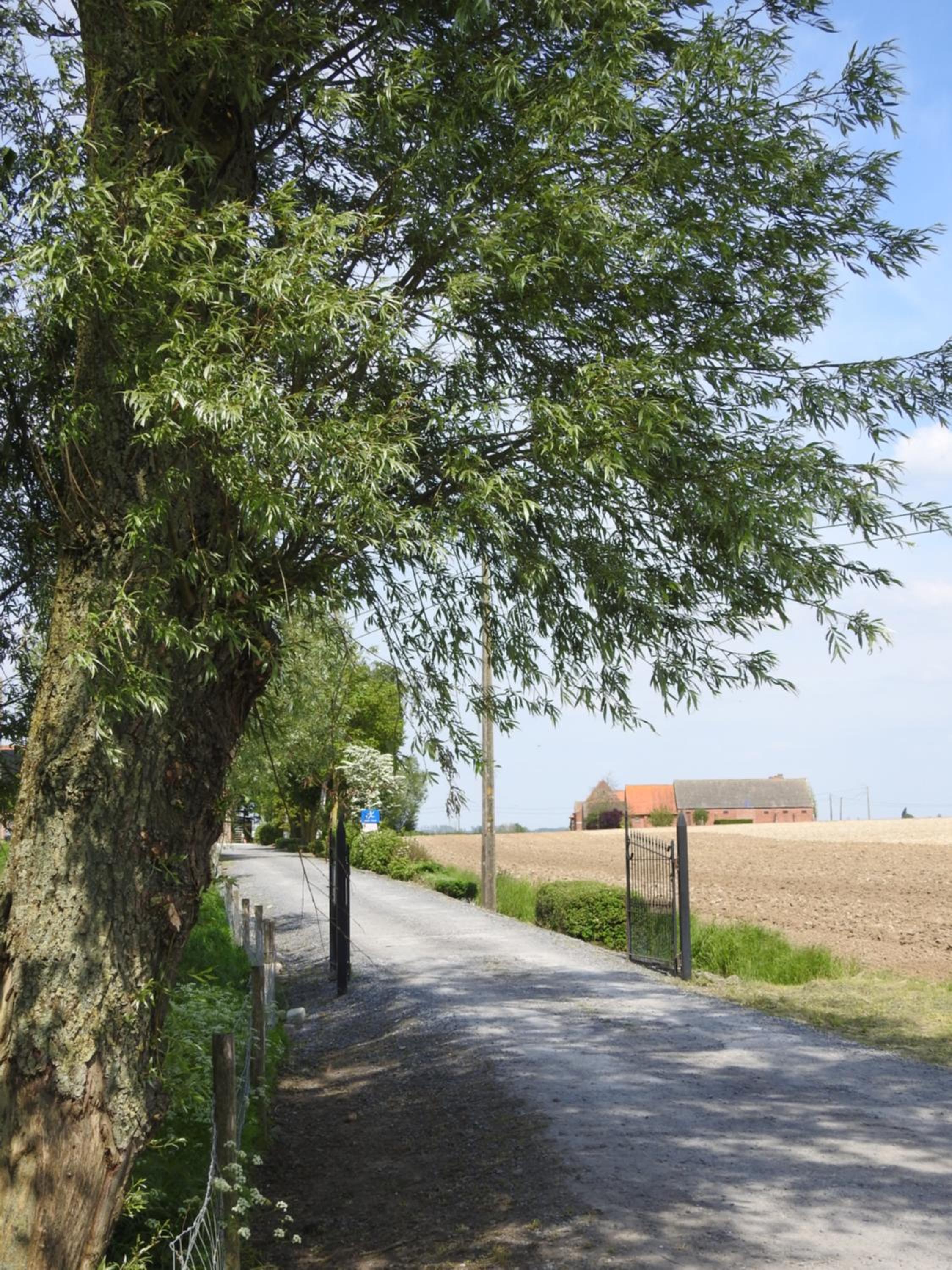 B&B De Linde