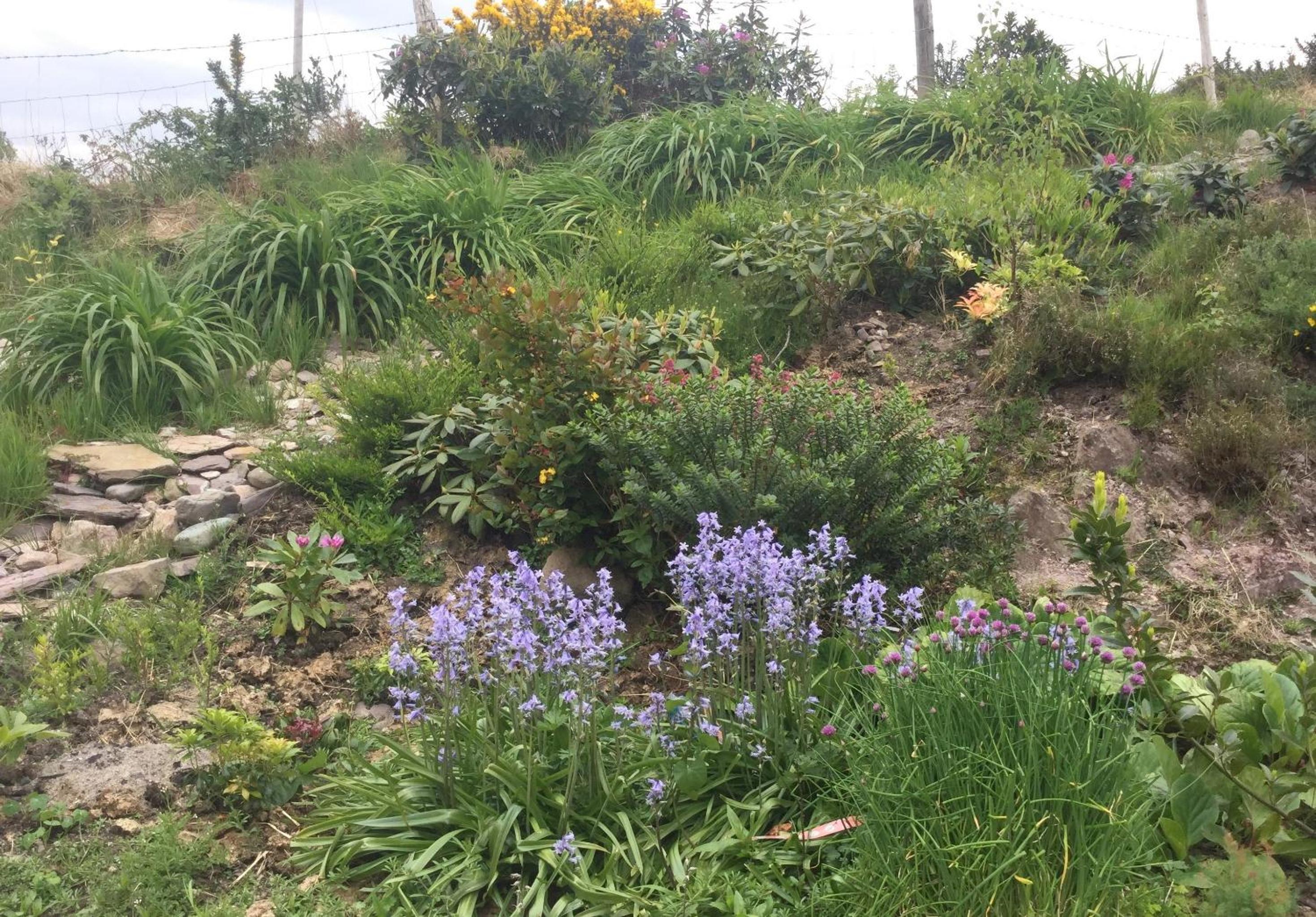 Photo 16