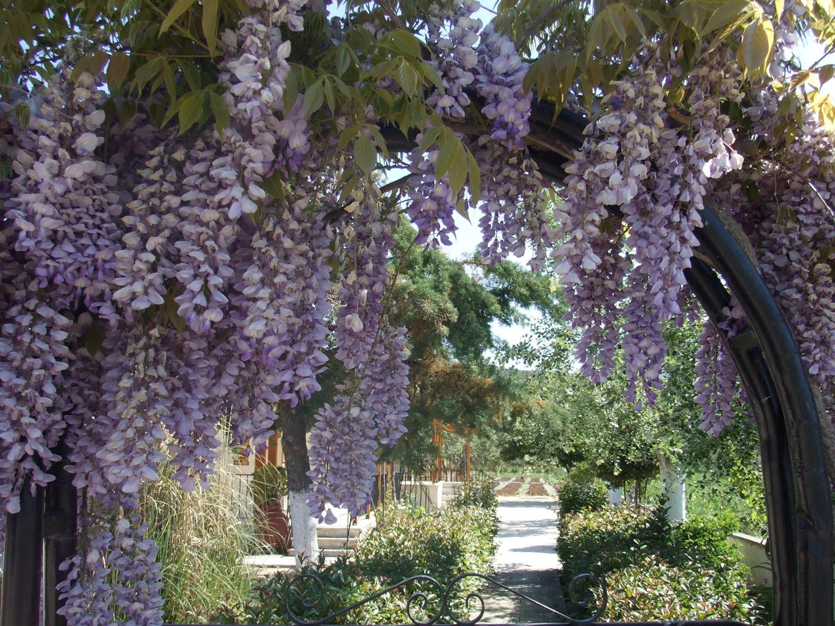 Photo 25