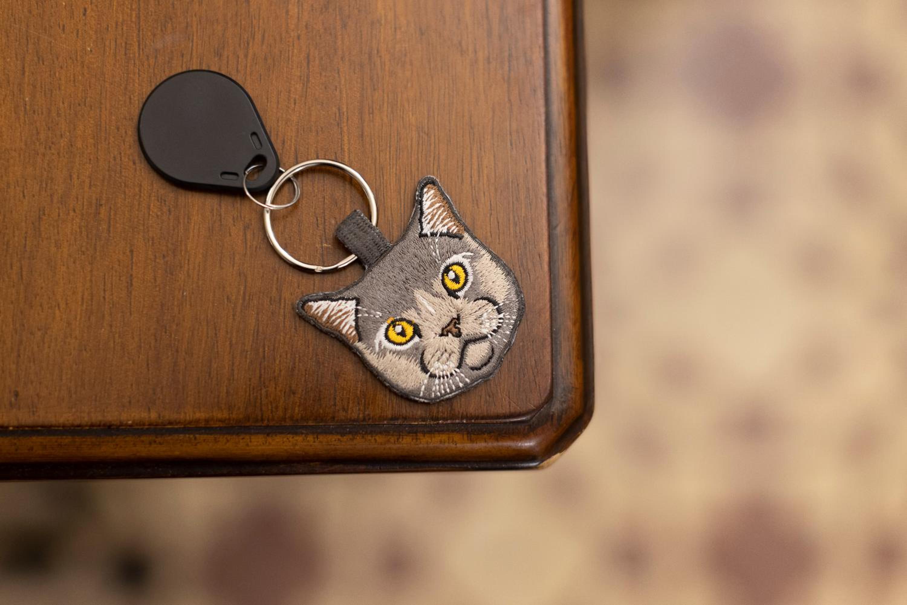 Gatto Perso Luxury Studios And Apartments
