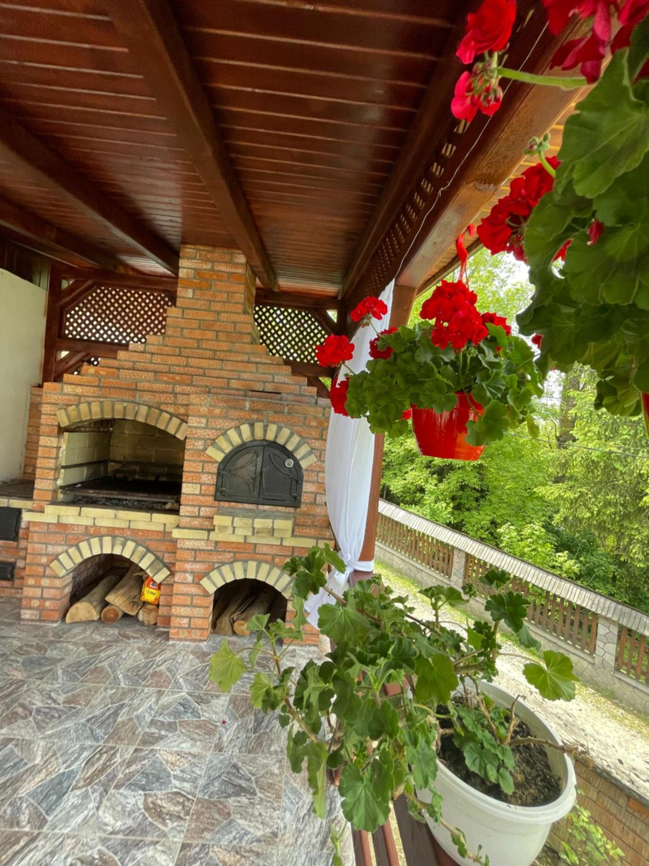 Pensiunea Dragoș Vodă Breb view 5