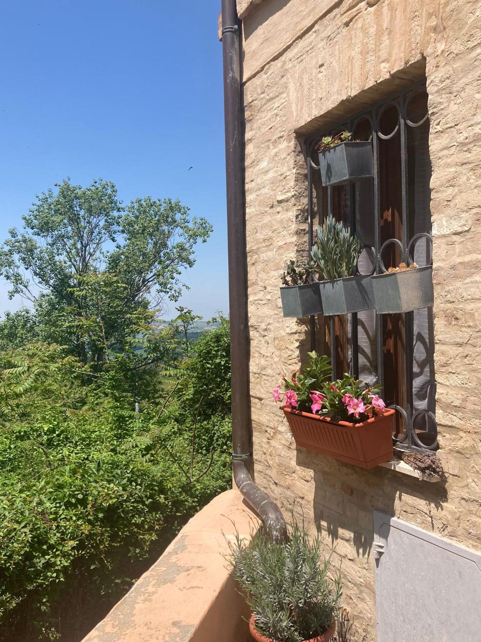CIRIBACCO ROOMS view 2