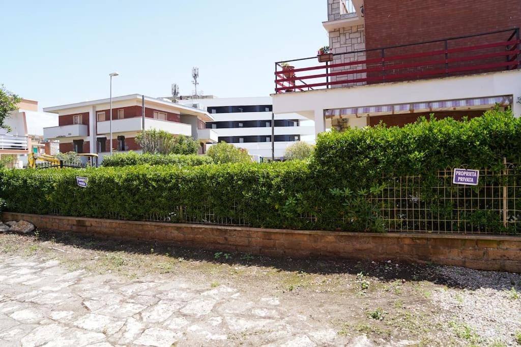 Terrazza Marina