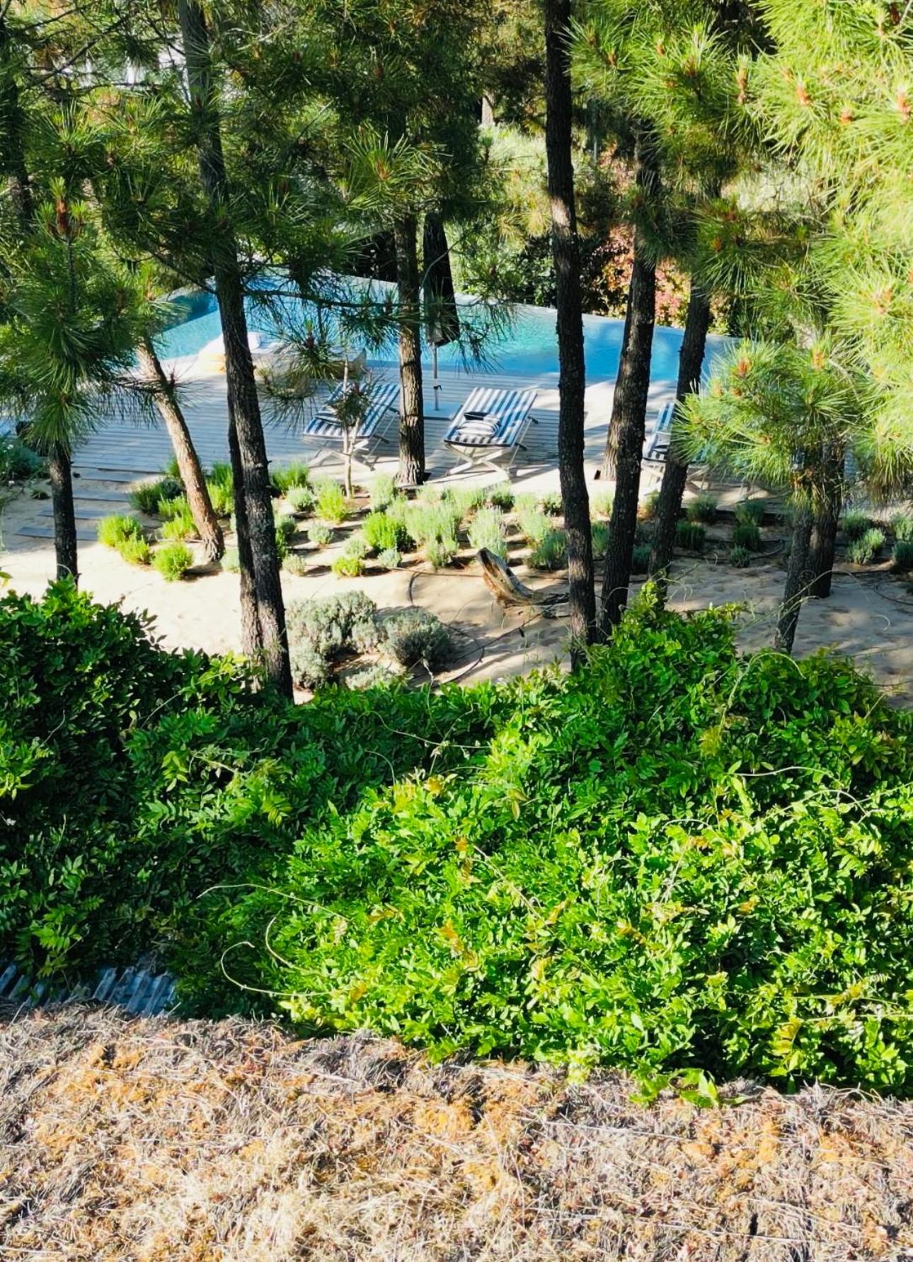Cabana Lavanda Comporta view 2