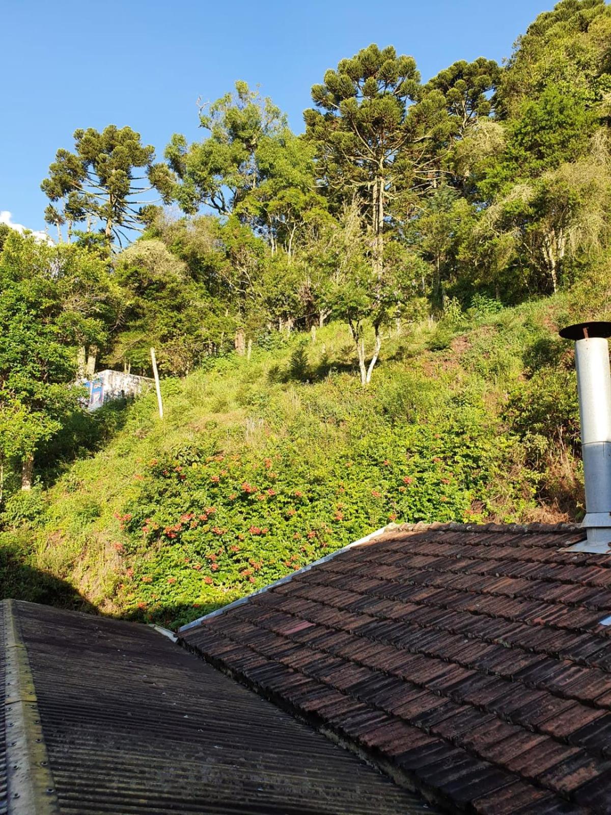 Colônia SAA view 5