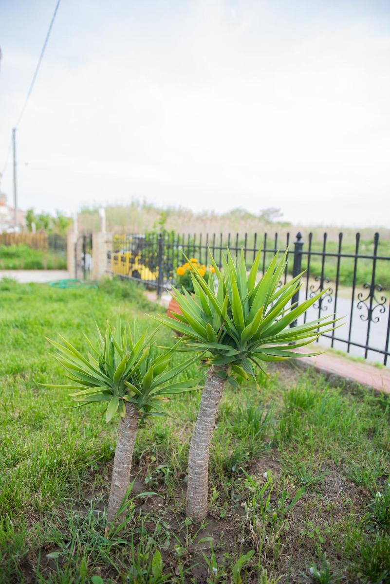 Garden Suite photo 3