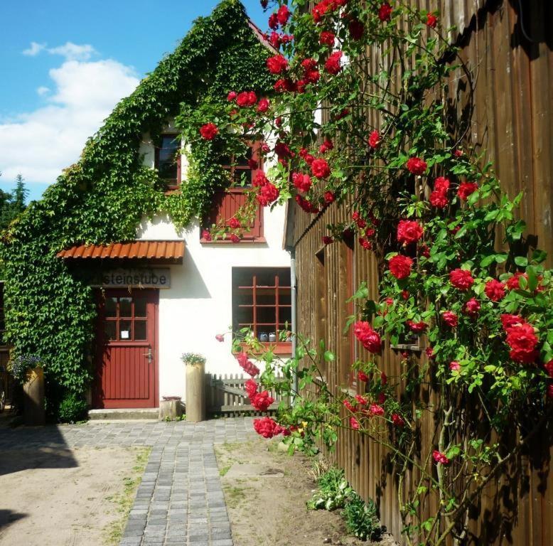 Bernsteinstube Wolf