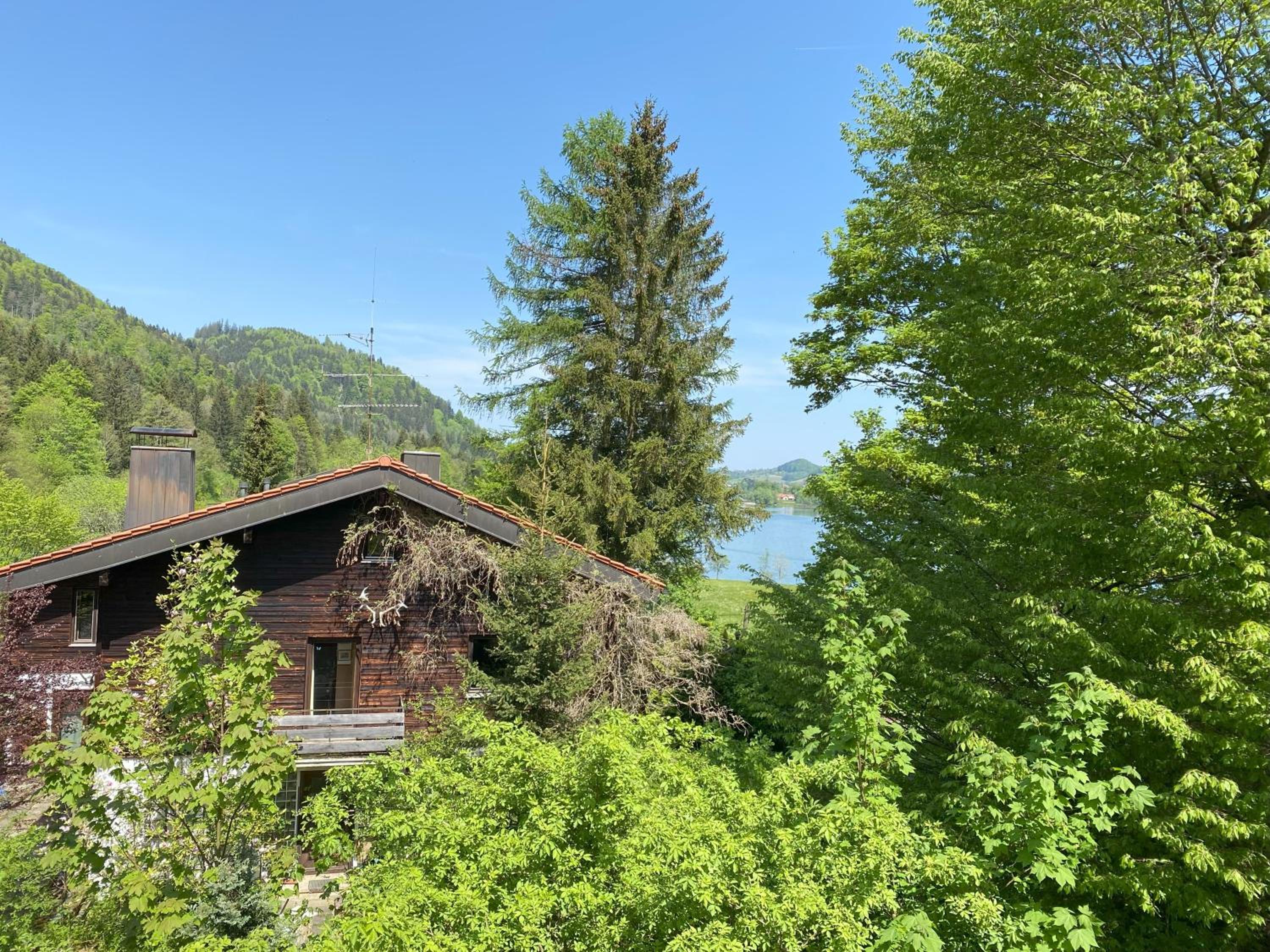 Apartment Perle am See - Wohnen auf Zeit - Homeoffice - nah am See - buchbar ab 28 Nächte view 5