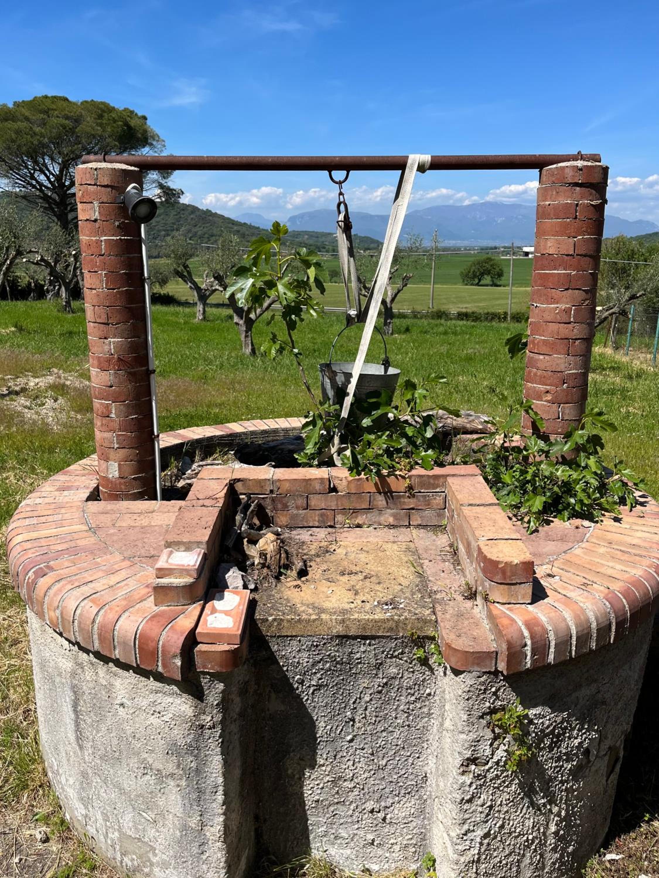 L'Oasi della Fonte view 2
