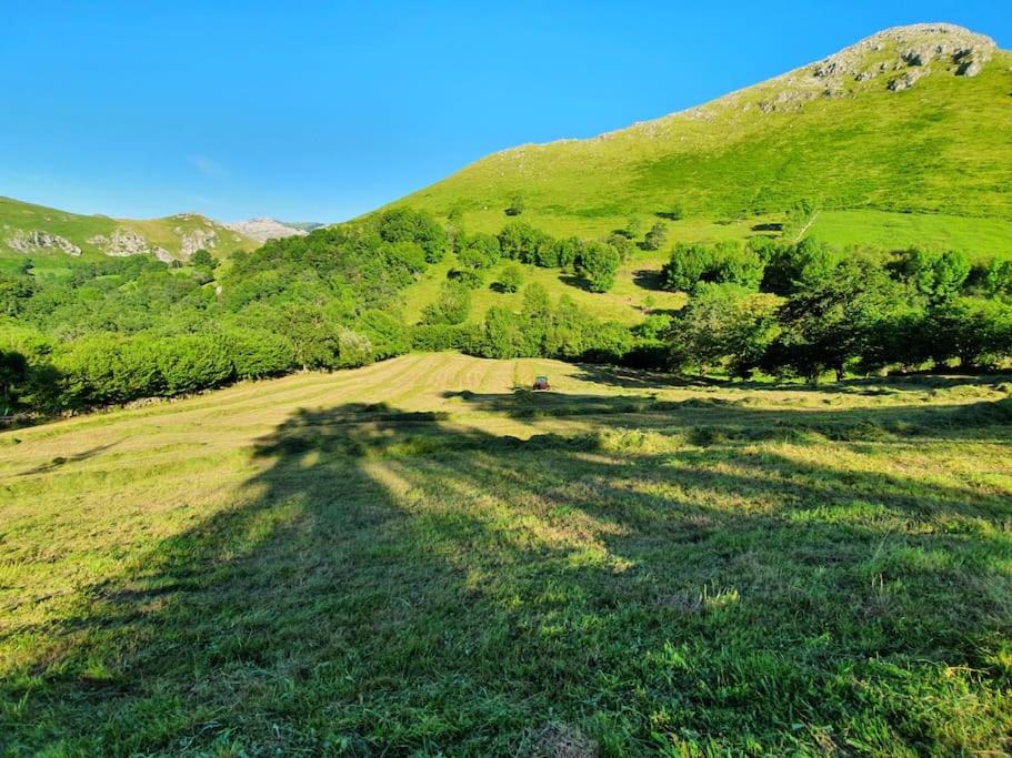 Casa Rural Angostina