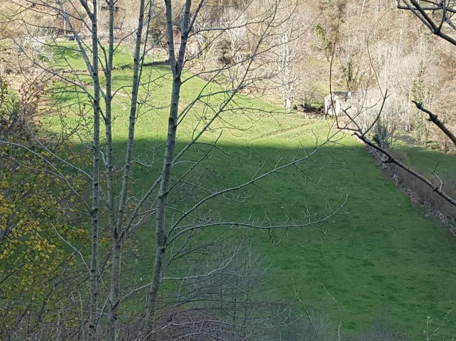 Casa Rural Angostina