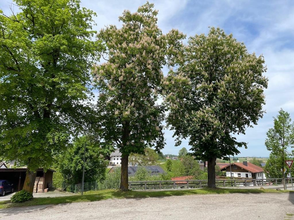 Ferienwohnung Meridiana