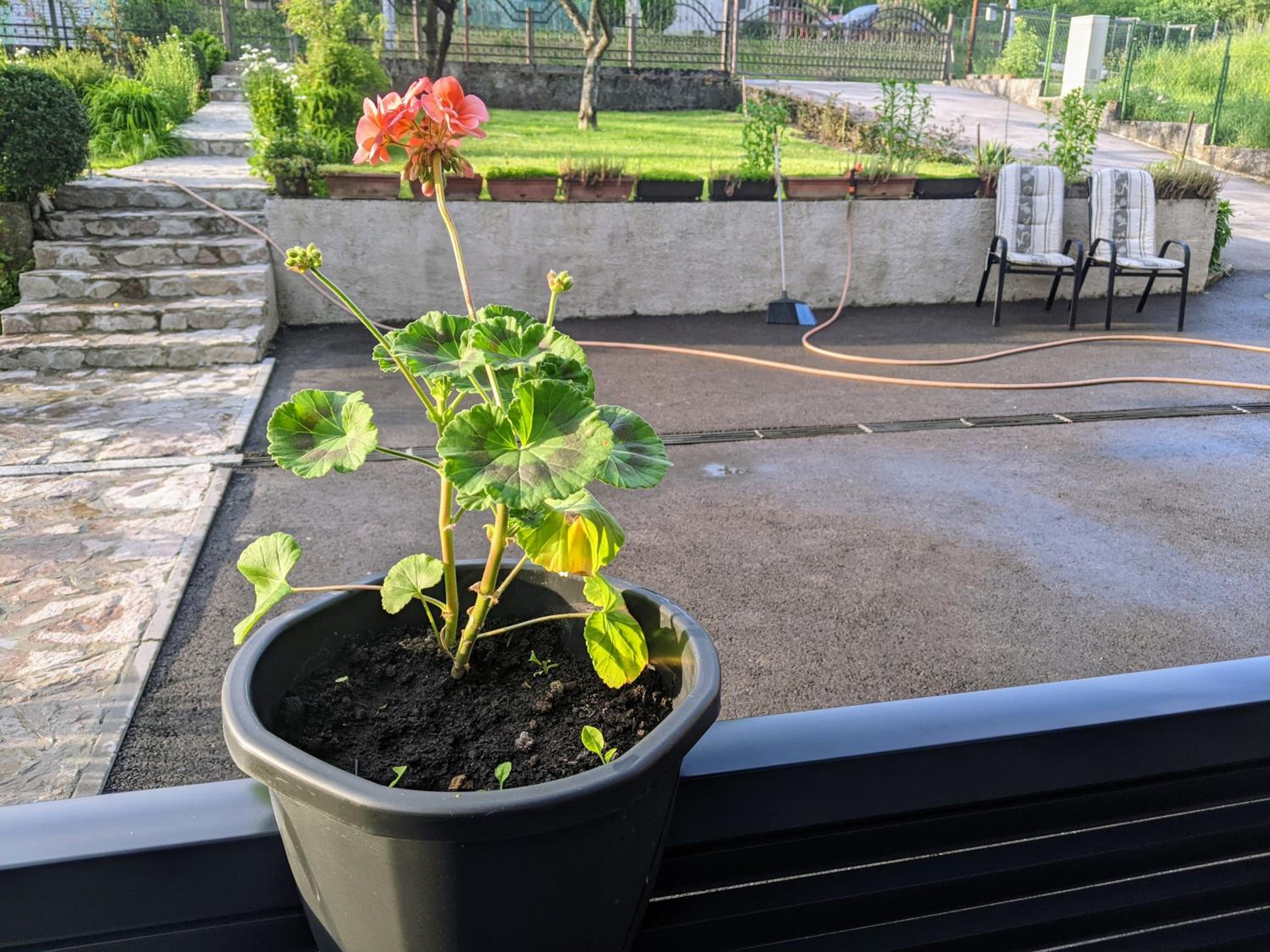 Apartmani Hrastik 1
