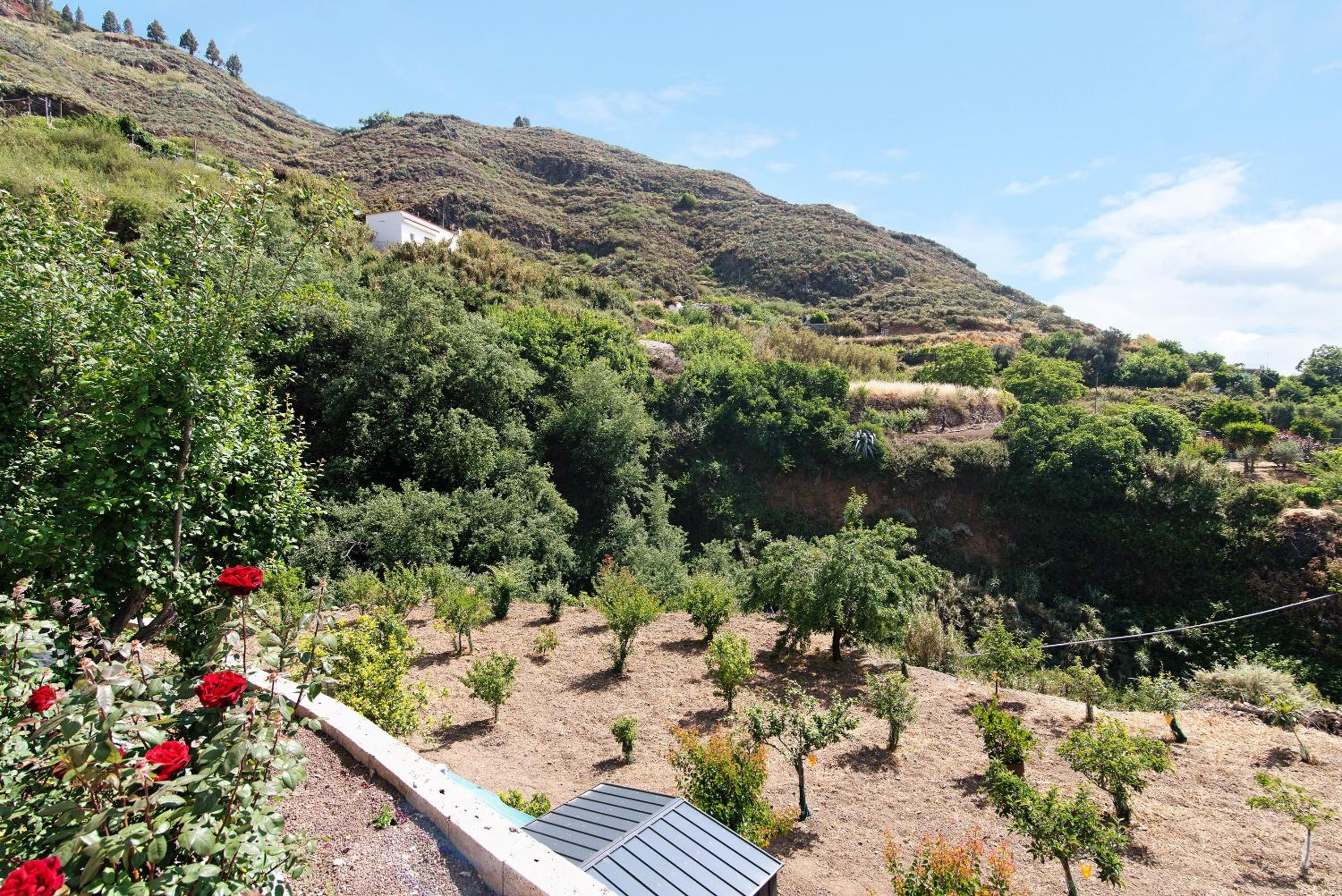 Casa Abuela Fela