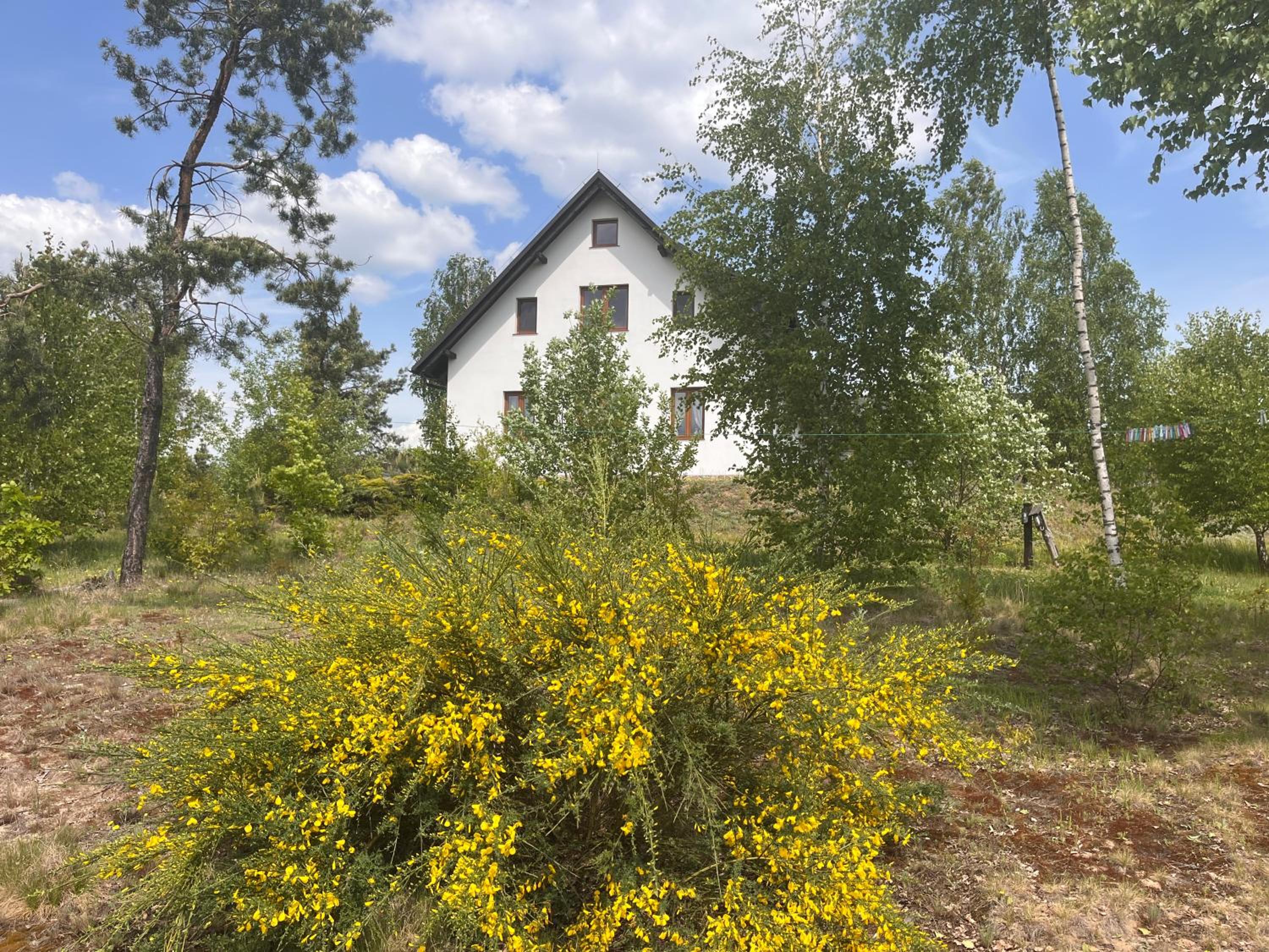 Photo 37