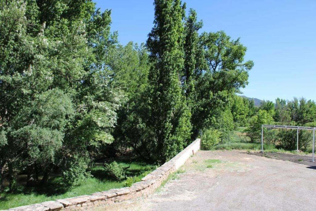 Photo 19