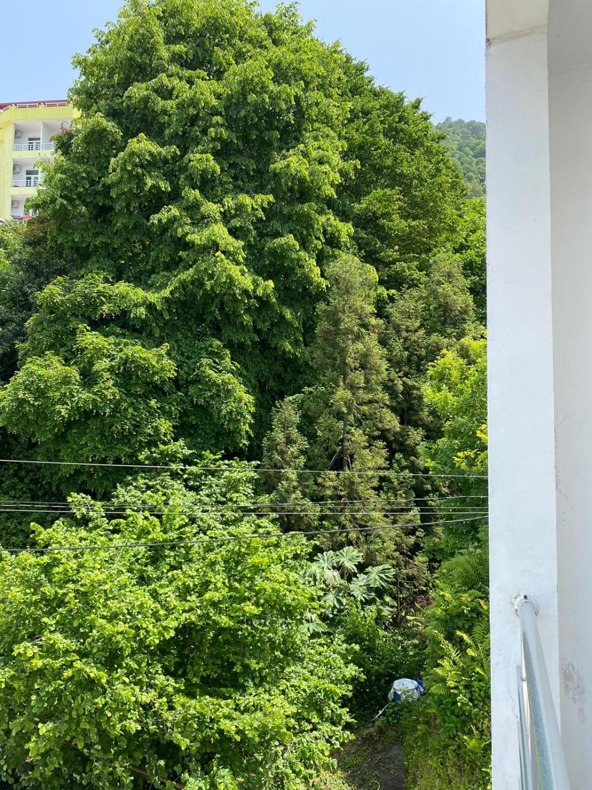 Temo's guest house in Kvariati