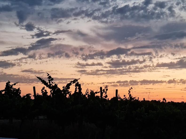 Herdade das Castas Nobres, photo 70