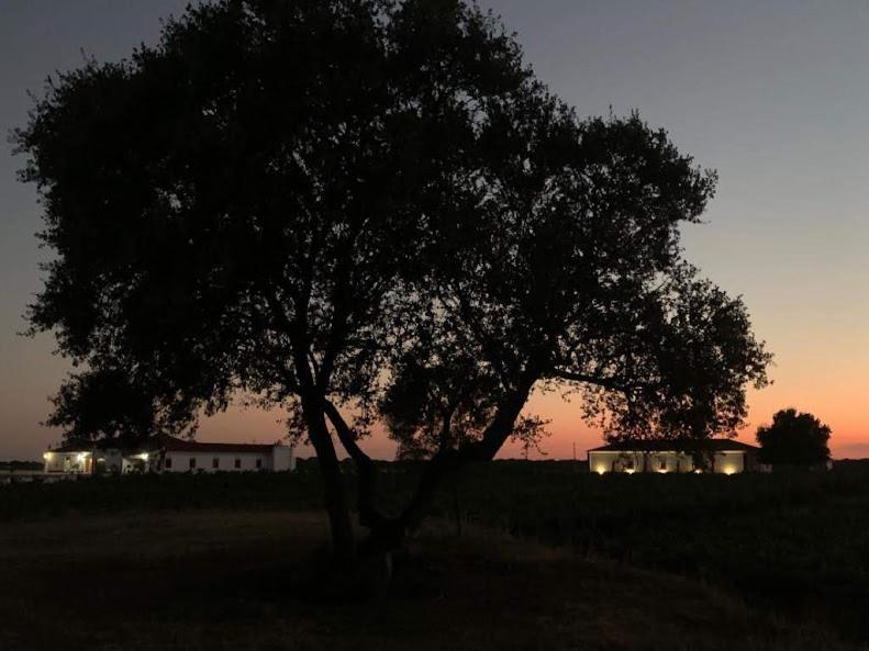 Herdade das Castas Nobres, photo 37