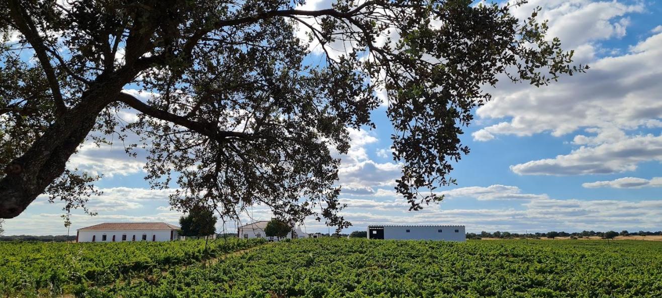 Herdade das Castas Nobres