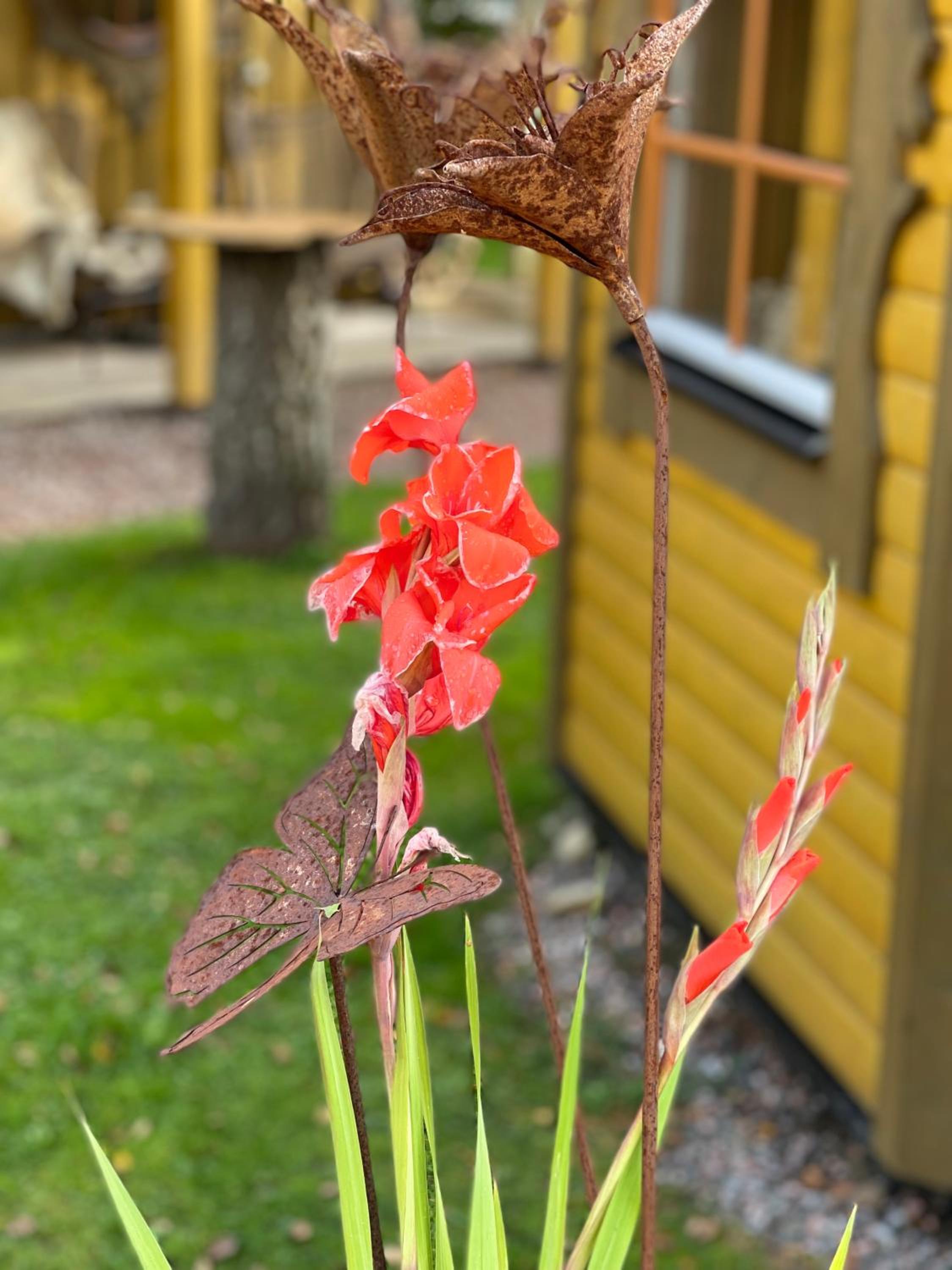 Photo 34