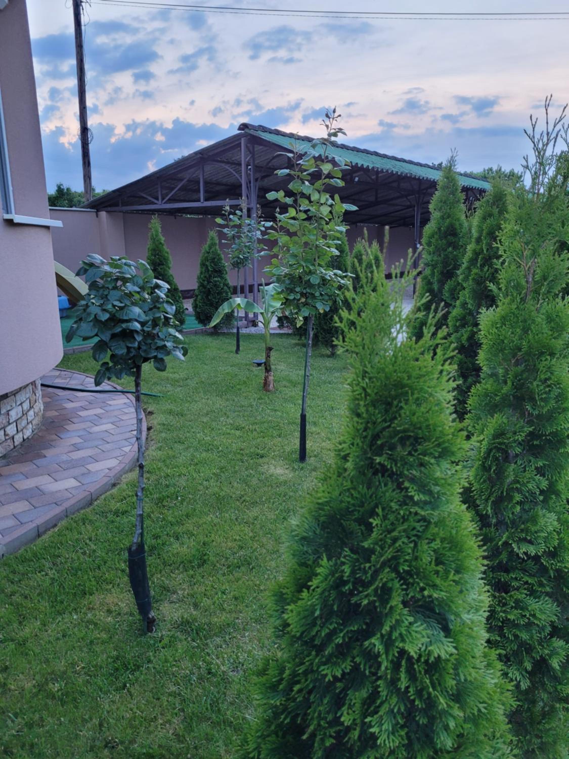 Photo 21