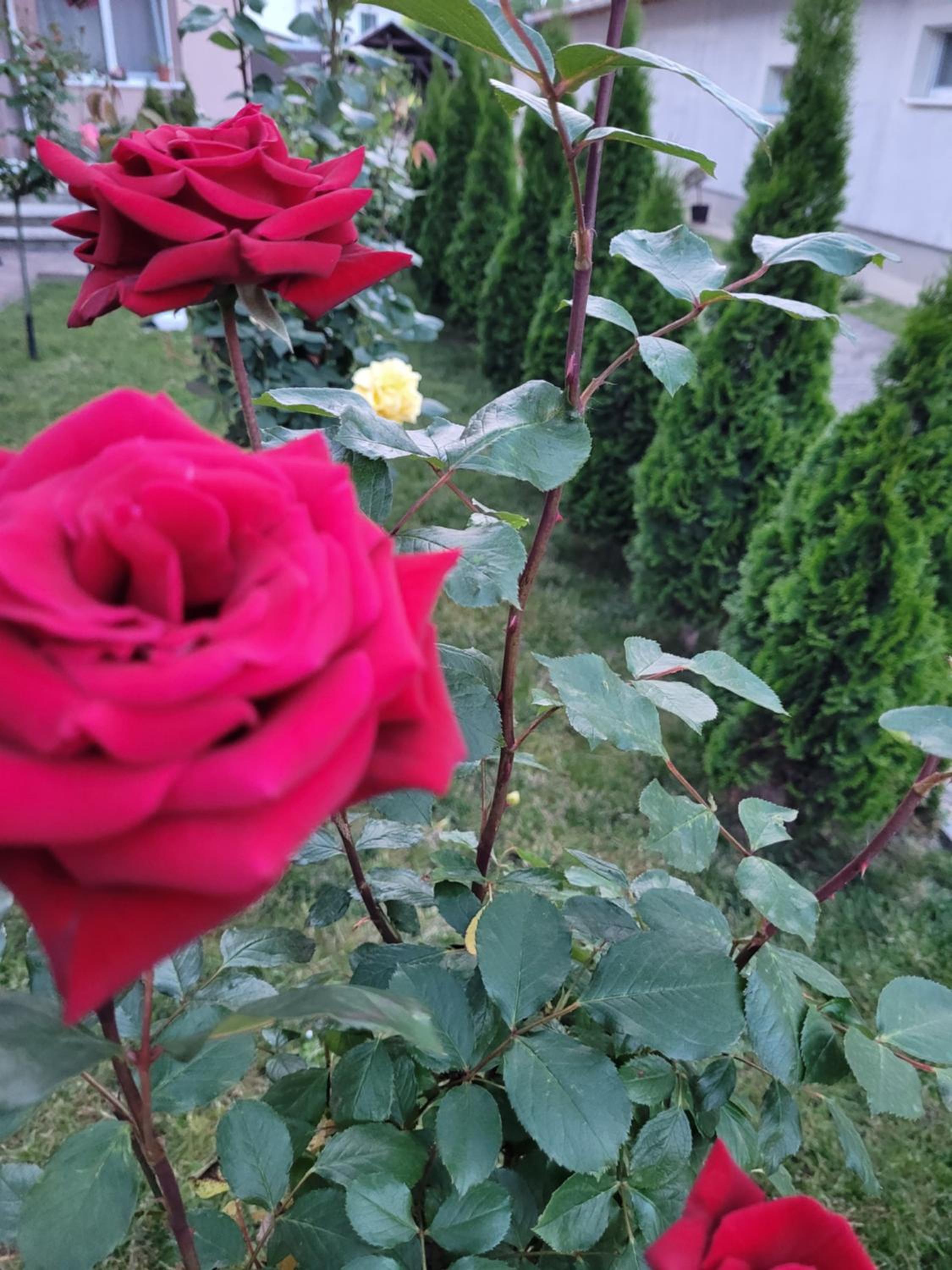 Photo 29