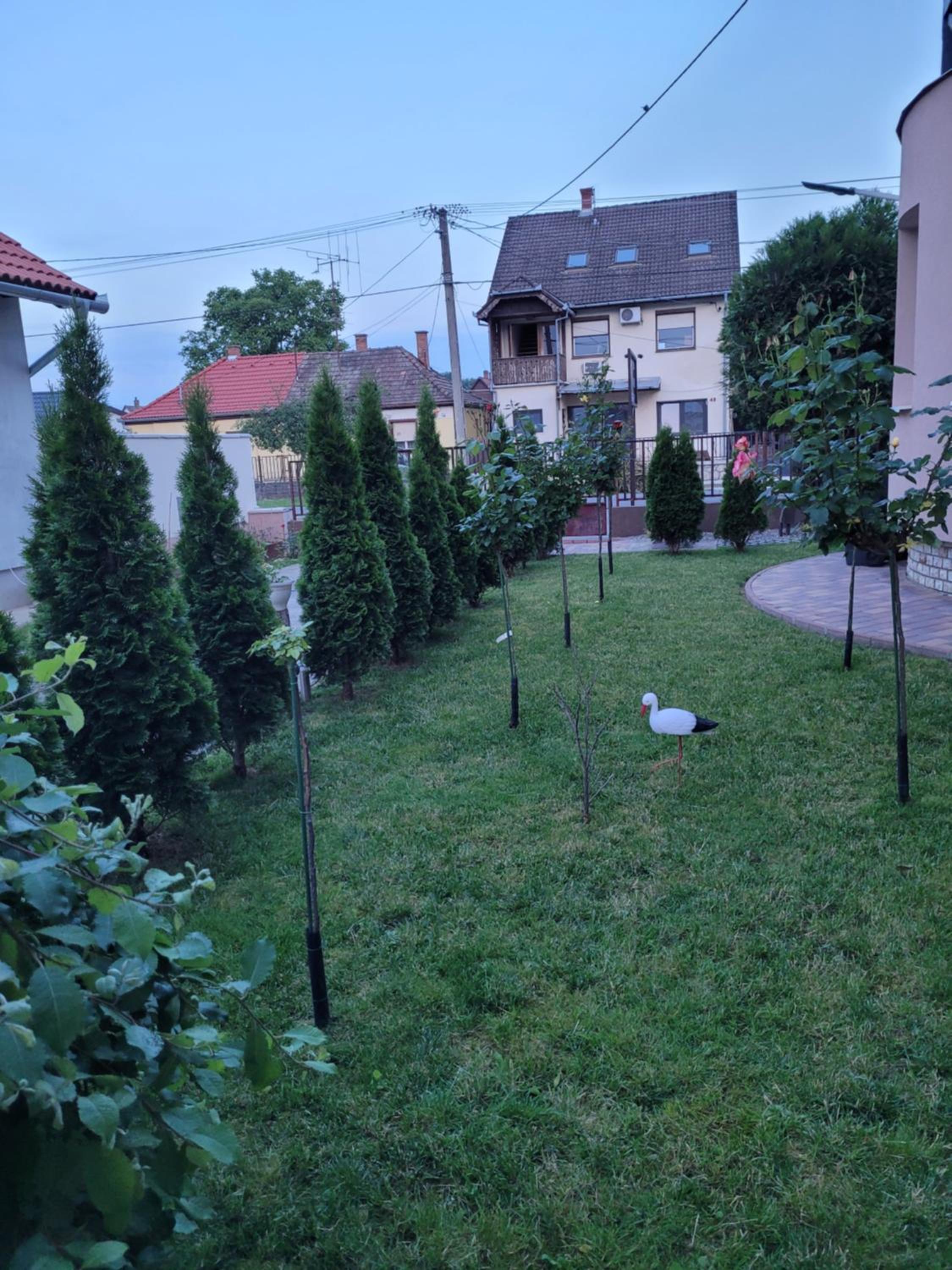 Photo 28
