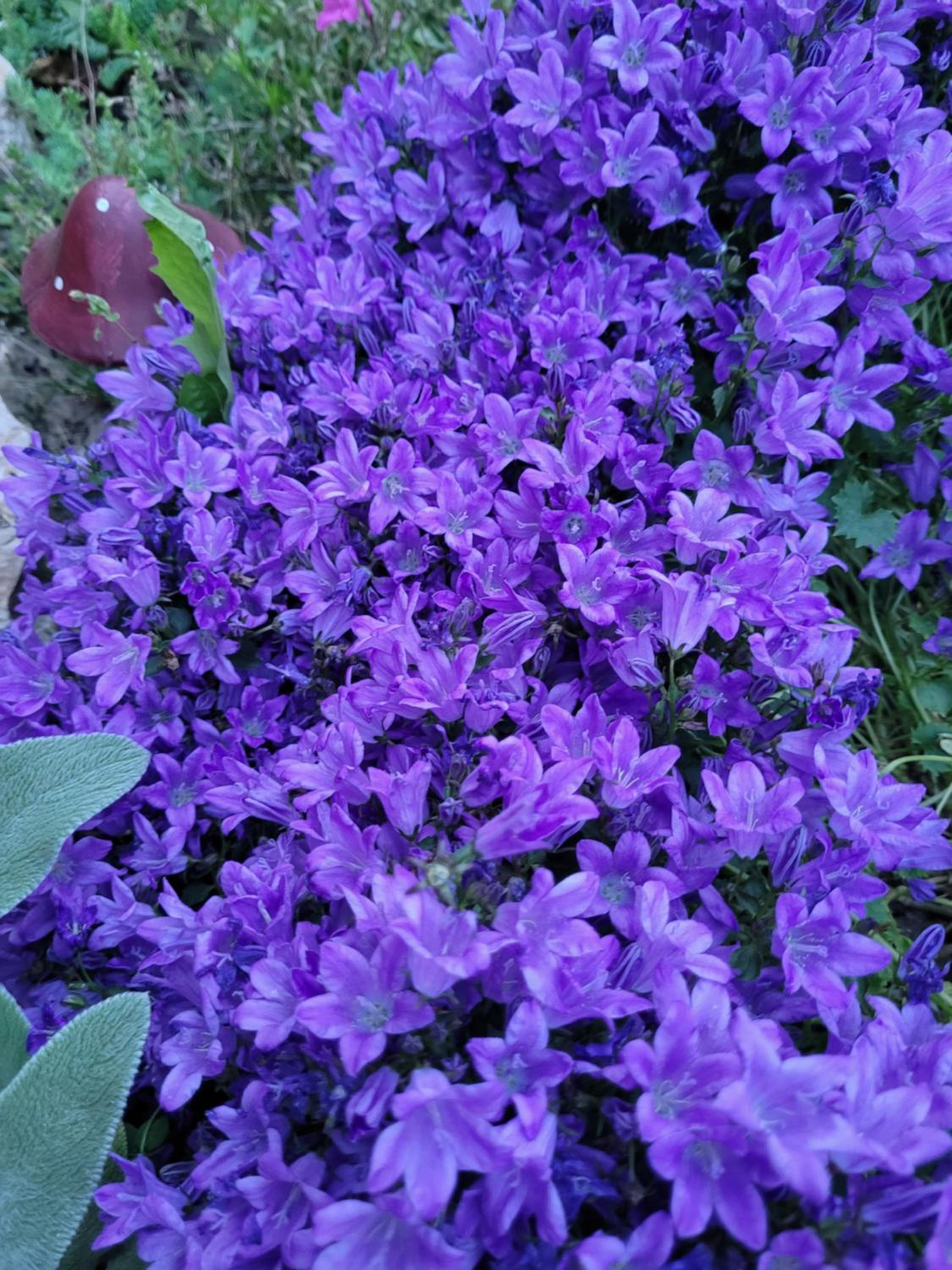 Photo 35