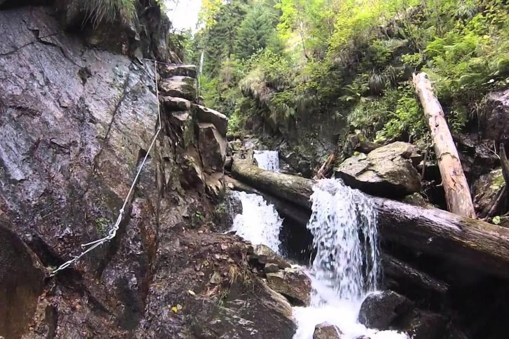 Domček pod Orechom