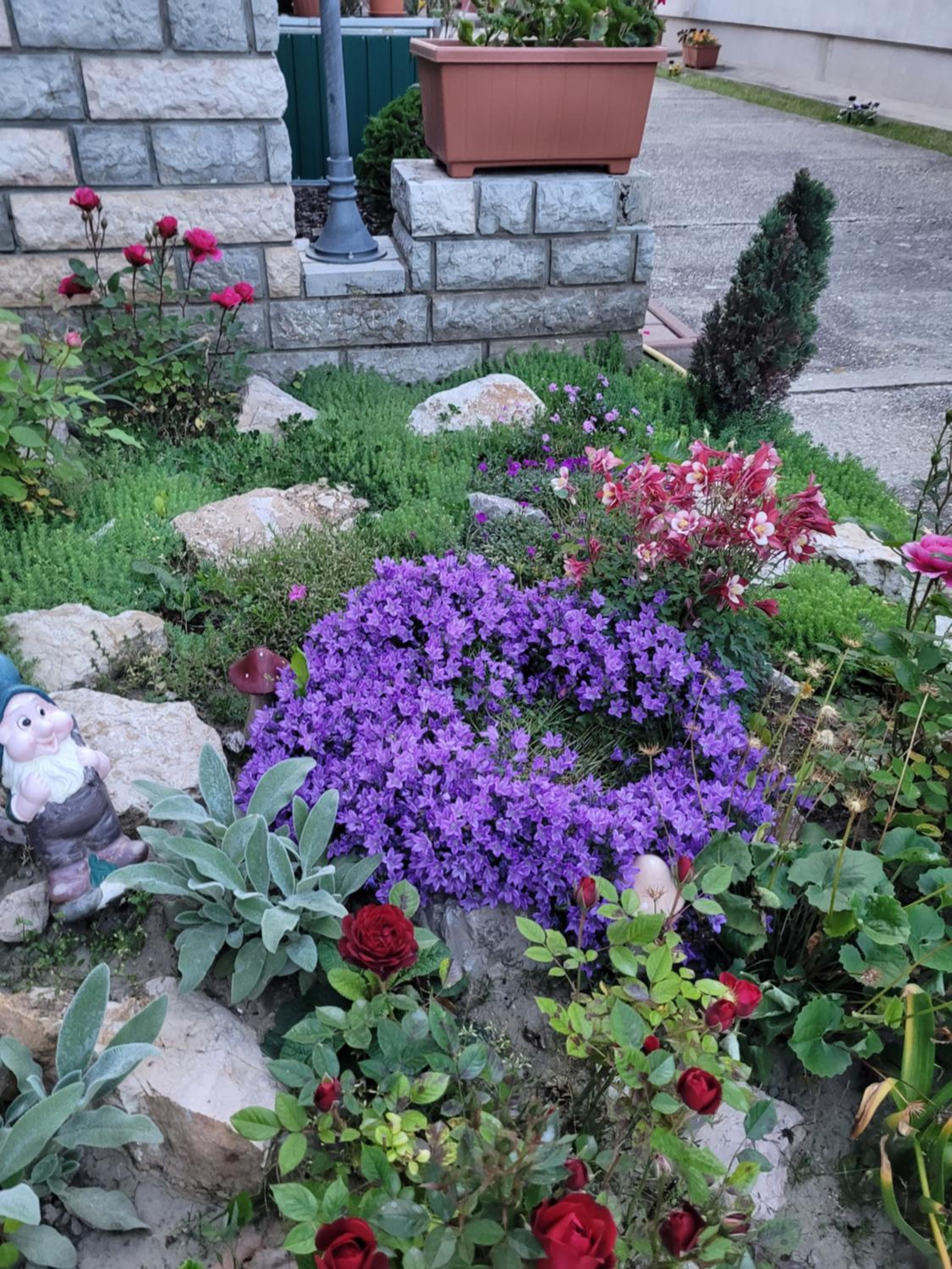 Photo 43