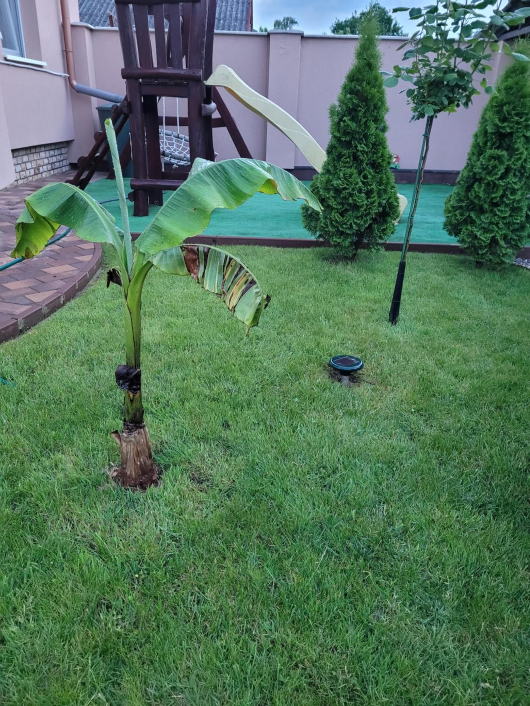 Photo 42