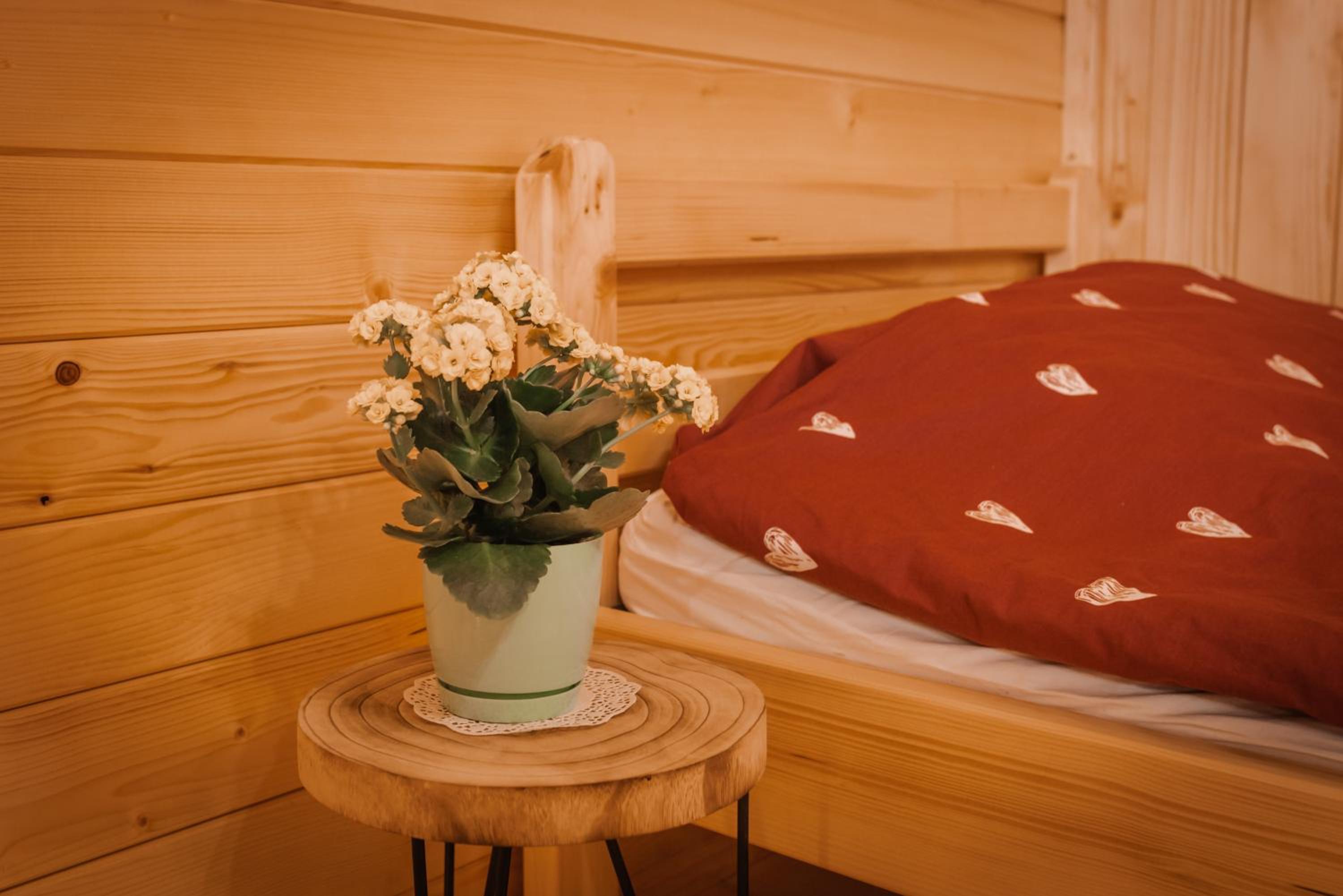 Apartmaji Gračner