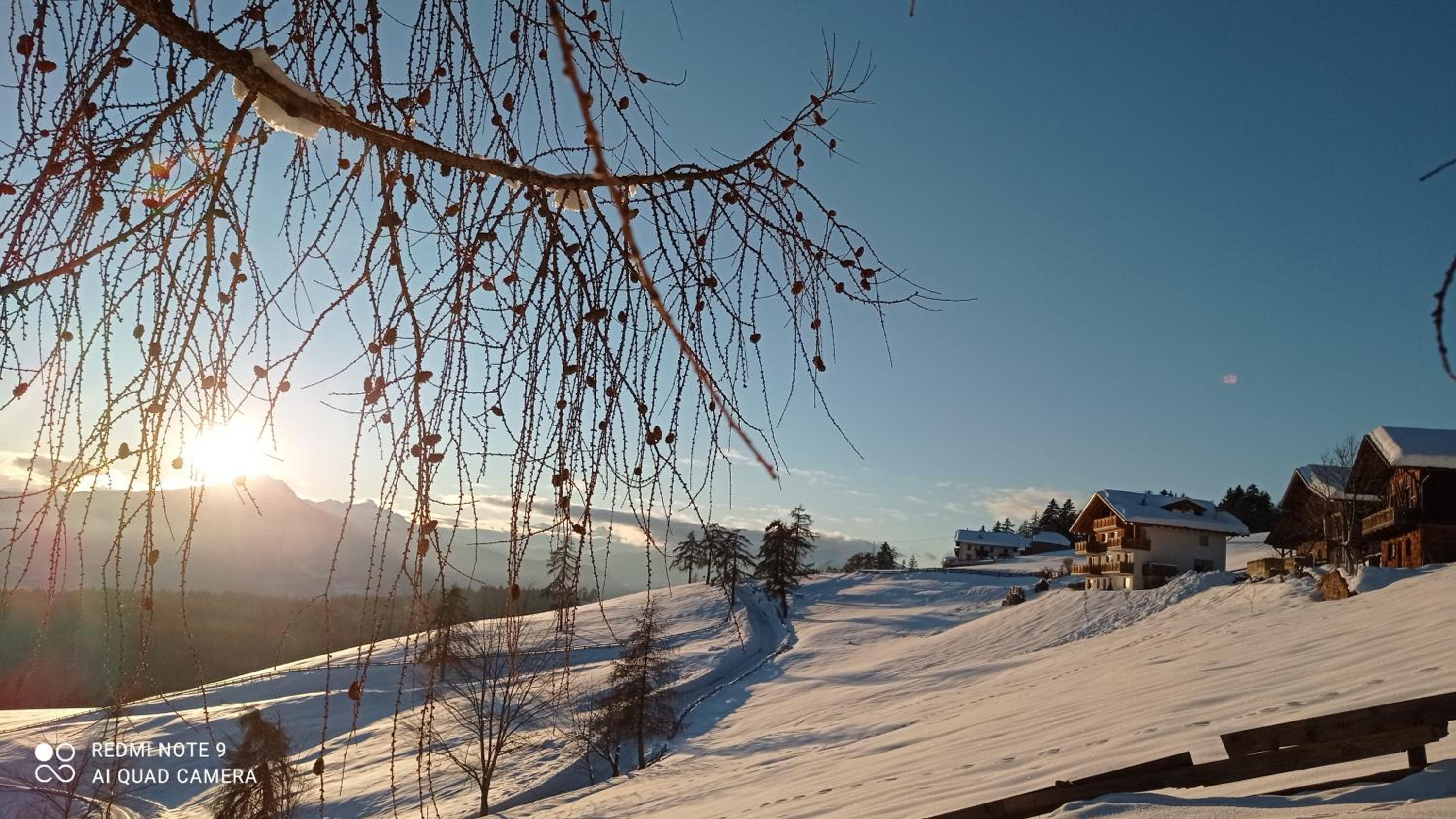 Mandlerhof