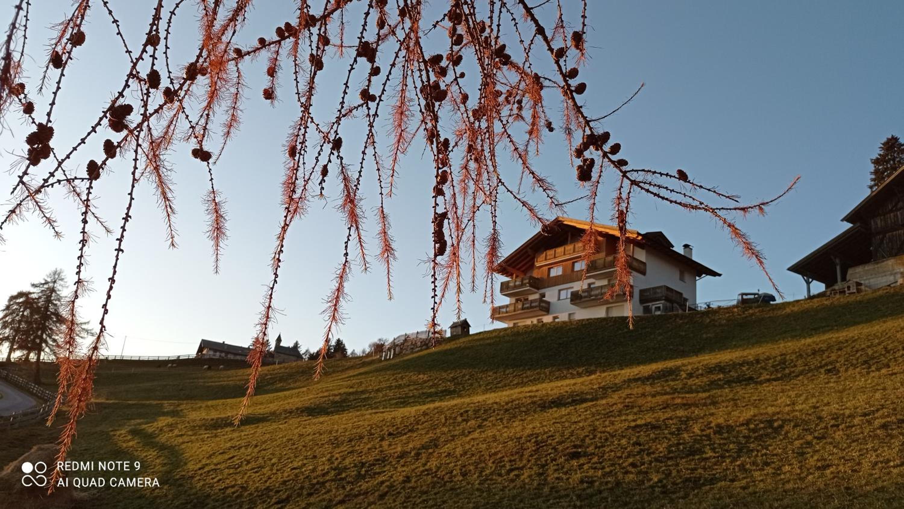 Mandlerhof